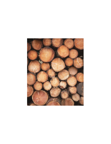 Acheter bois en fagot | Bois de chauffage sec pour maison et bâtiments