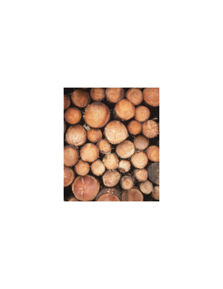 Acheter bois en fagot | Bois de chauffage sec pour maison et bâtiments