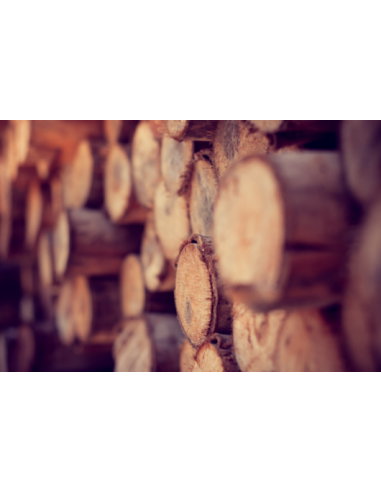 Acheter bois en fagot | Bois de chauffage sec pour maison et bâtiments