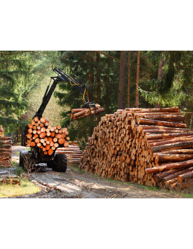 Acheter bois en fagot | Bois de chauffage sec pour maison et bâtiments