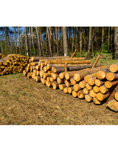 Acheter bois en fagot | Bois de chauffage sec pour maison et bâtiments