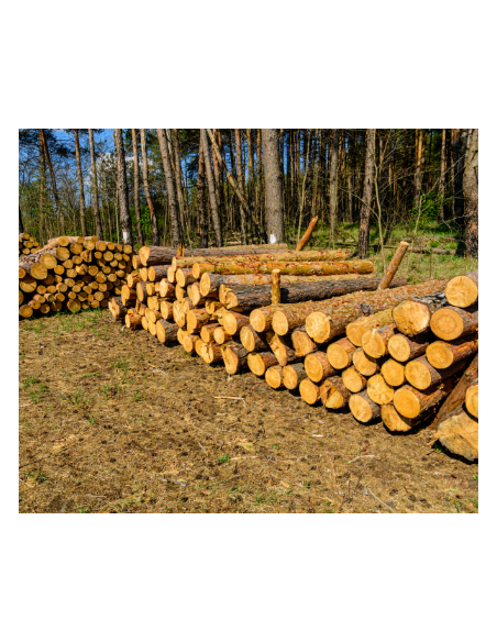 Acheter bois en fagot | Bois de chauffage sec pour maison et bâtiments