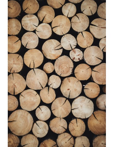Acheter bois en fagot | Bois de chauffage sec pour maison et bâtiments