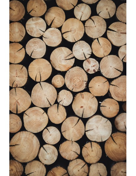 Acheter bois en fagot | Bois de chauffage sec pour maison et bâtiments