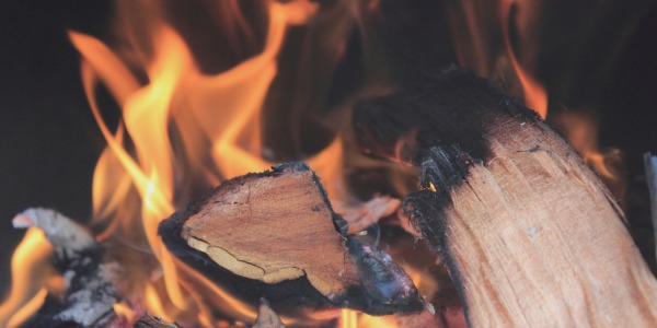 Bois de chauffage sec : l’énergie renouvelable trop méconnue
